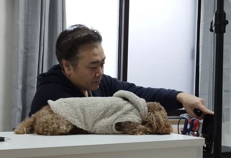 メメちゃんと仕事