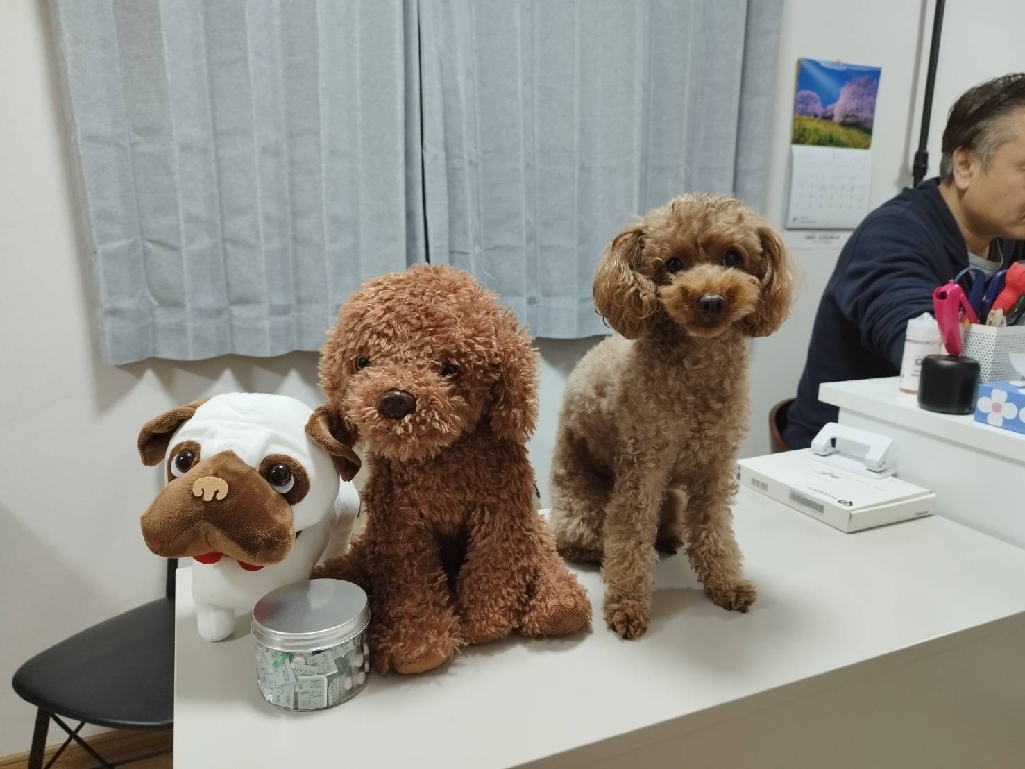 仕事中❗️