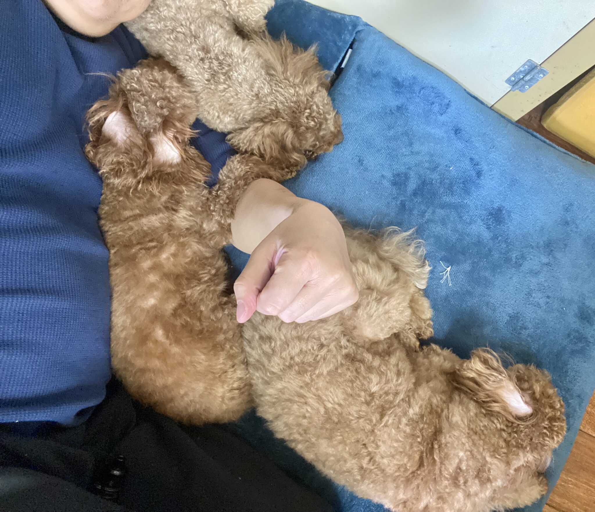 4匹でちょっと休憩